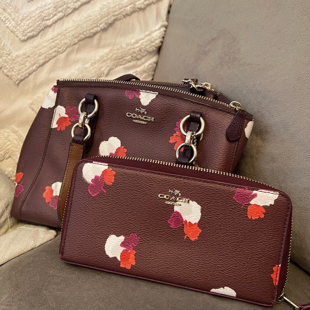 Coach Purse and Wallet Set